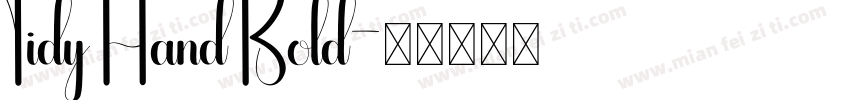 Tidy Hand Bold字体转换